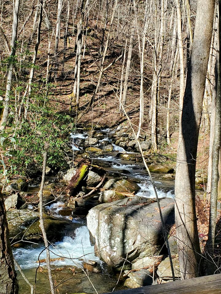 130052385_139183107984471_1947980298963605045_n