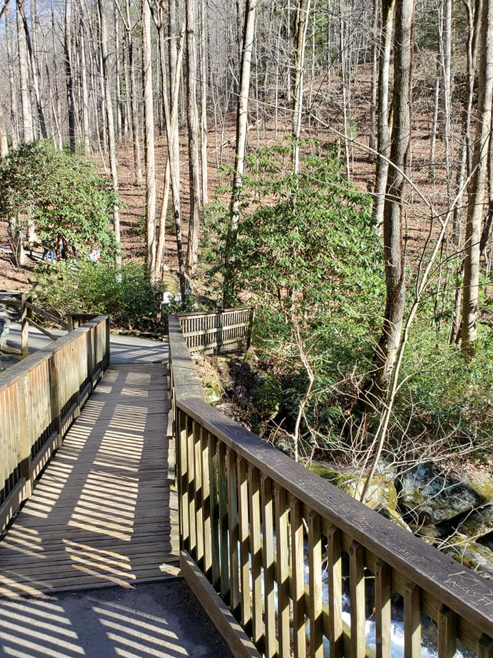 130793259_139183151317800_2730482215771551042_n