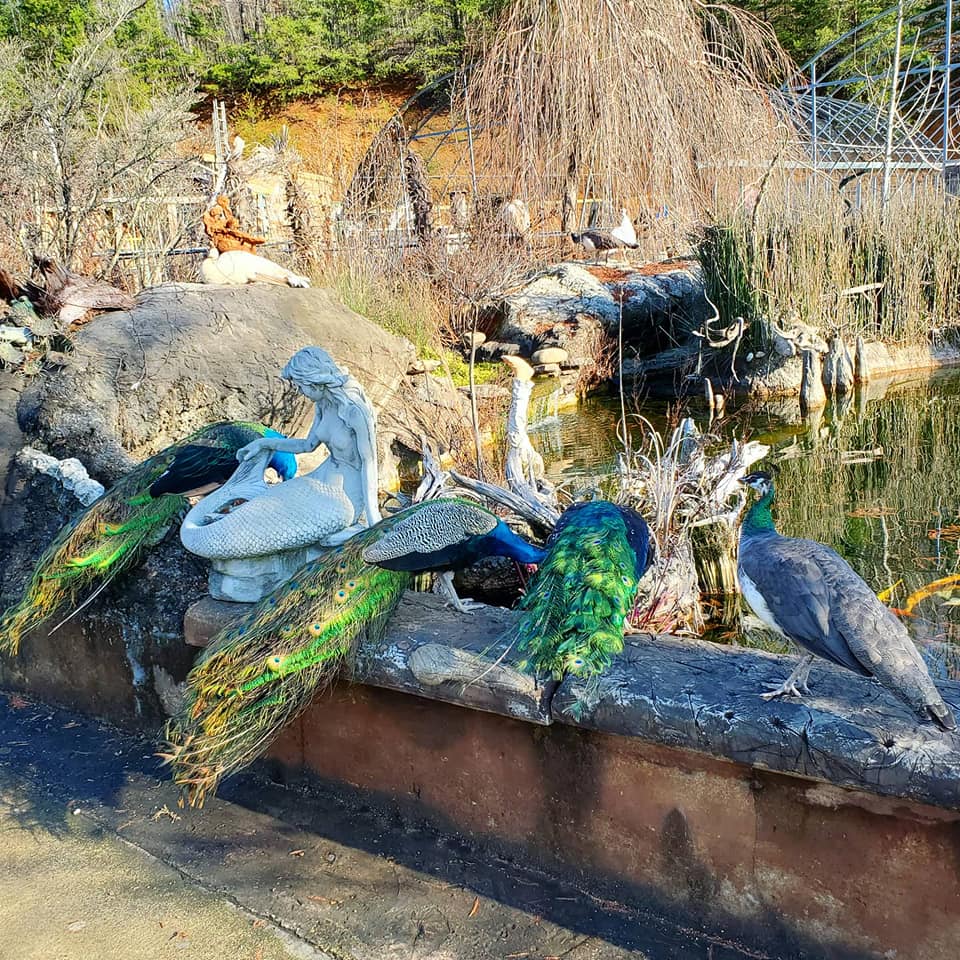 Monkeying Around Rhea County: Evolution, The Scopes Trial, & A Secret&nbsp;Garden