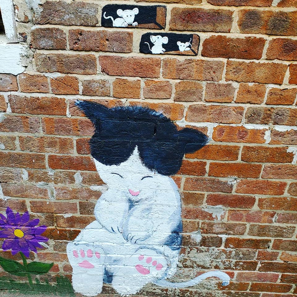 163519563_211821577387290_6841948087538946885_n