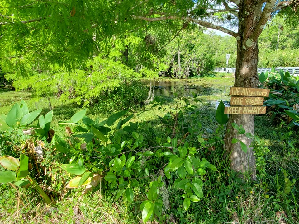 168118699_221739663062148_7273691443323404348_n