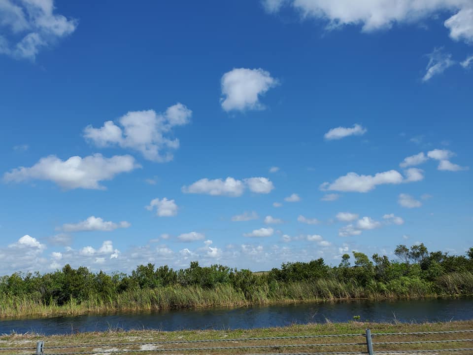 168765639_221740019728779_286370226271328241_n