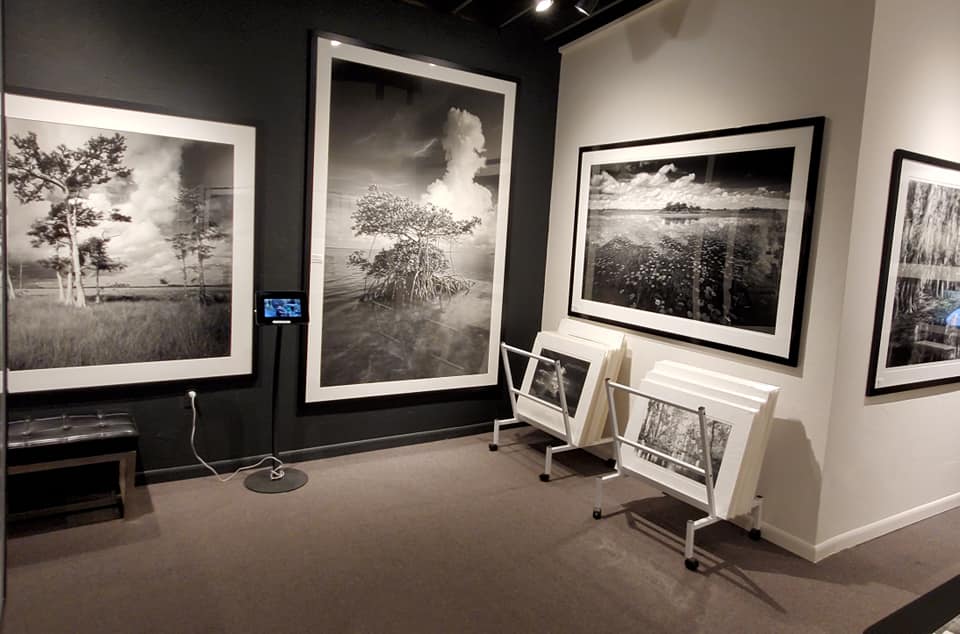 169063692_221739609728820_3055802725413092619_n