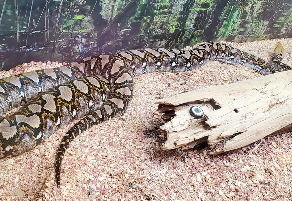 169233142_221739379728843_8561930992747405845_n