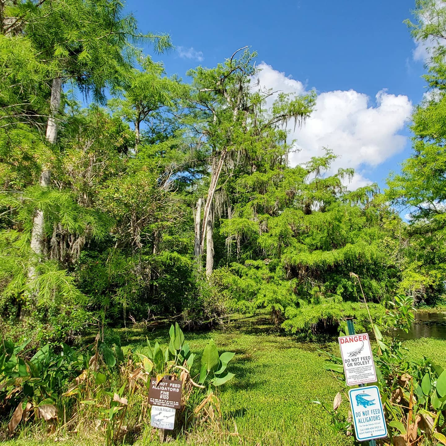 A164205054_216346010268180_6278050237968278206_n