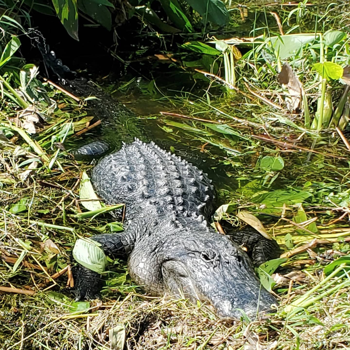 A164858112_216346006934847_4481893405392334359_n