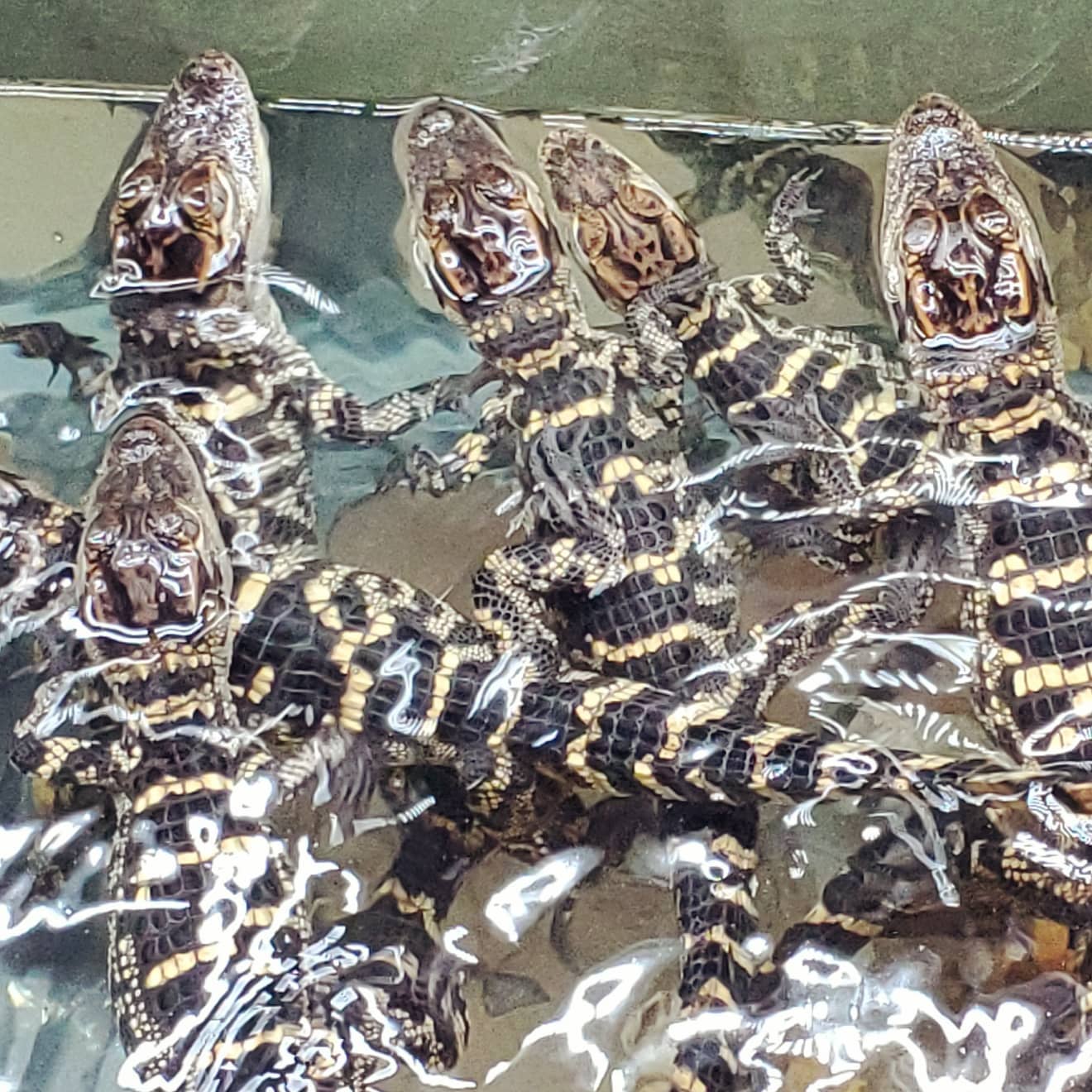 A165307309_216048653631249_3225853605008994022_n