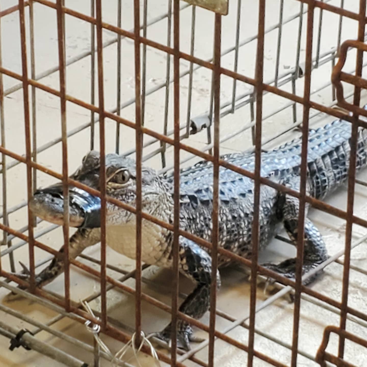 A165731538_216048643631250_125417139962939138_n