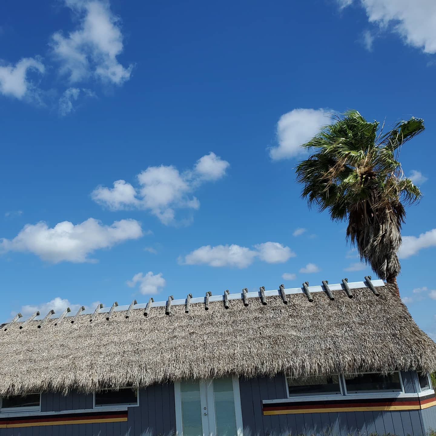 A165807266_216348176934630_7288298904340041227_n