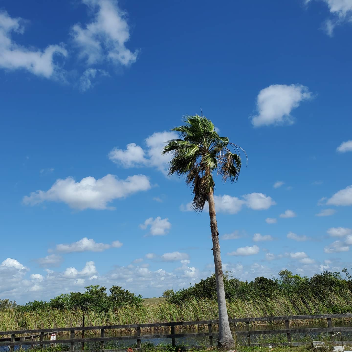 A166017400_216348186934629_457916339411781127_n