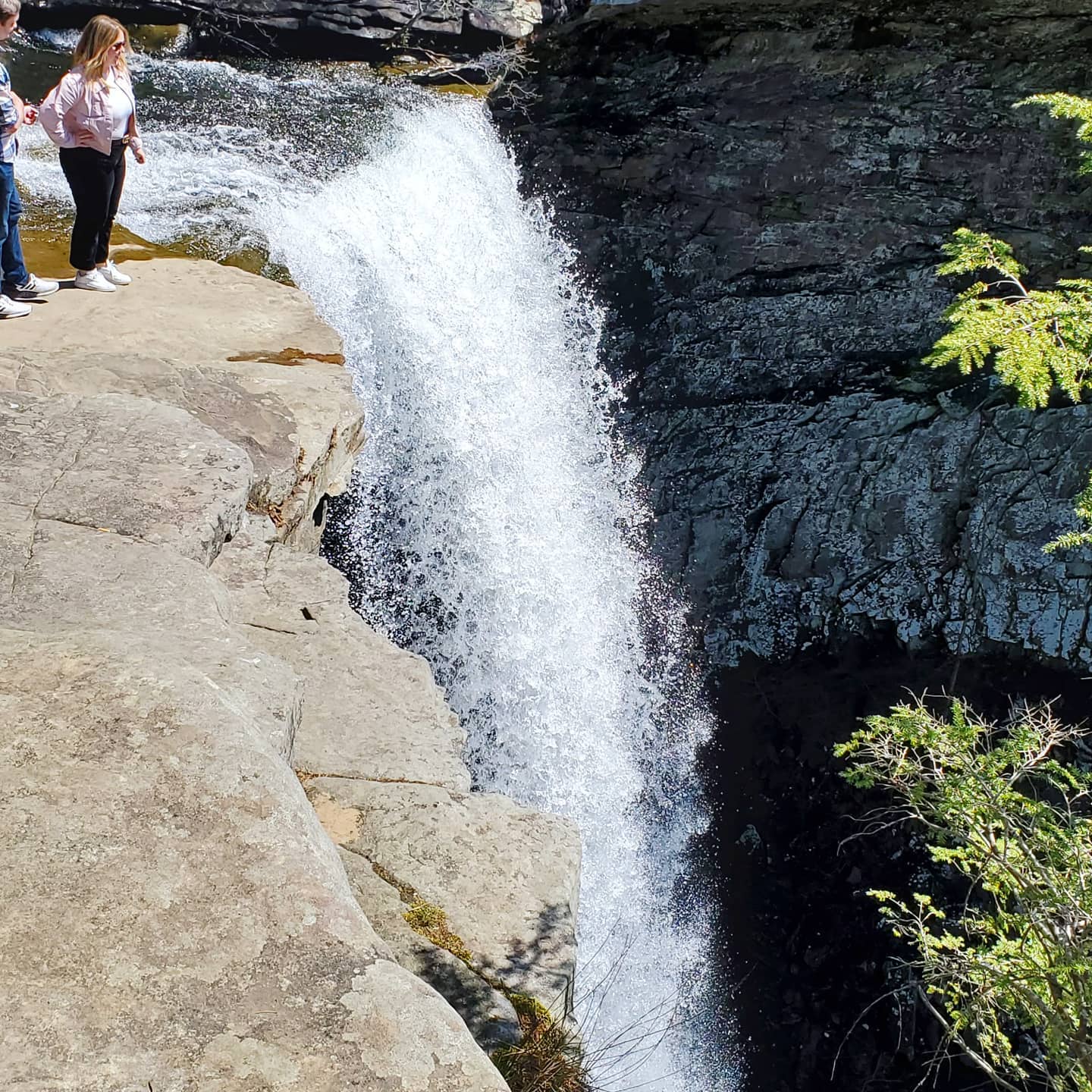 A166776776_221147583121356_5996948885872950059_n