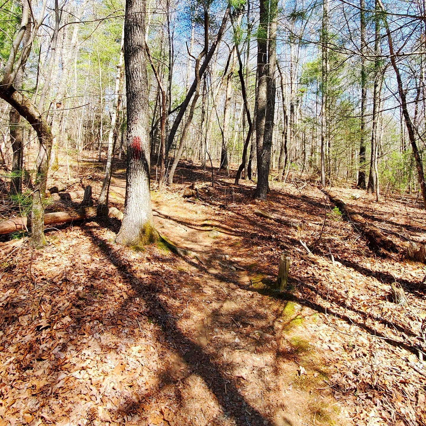 A168751538_221045179798263_5011378582311688043_n