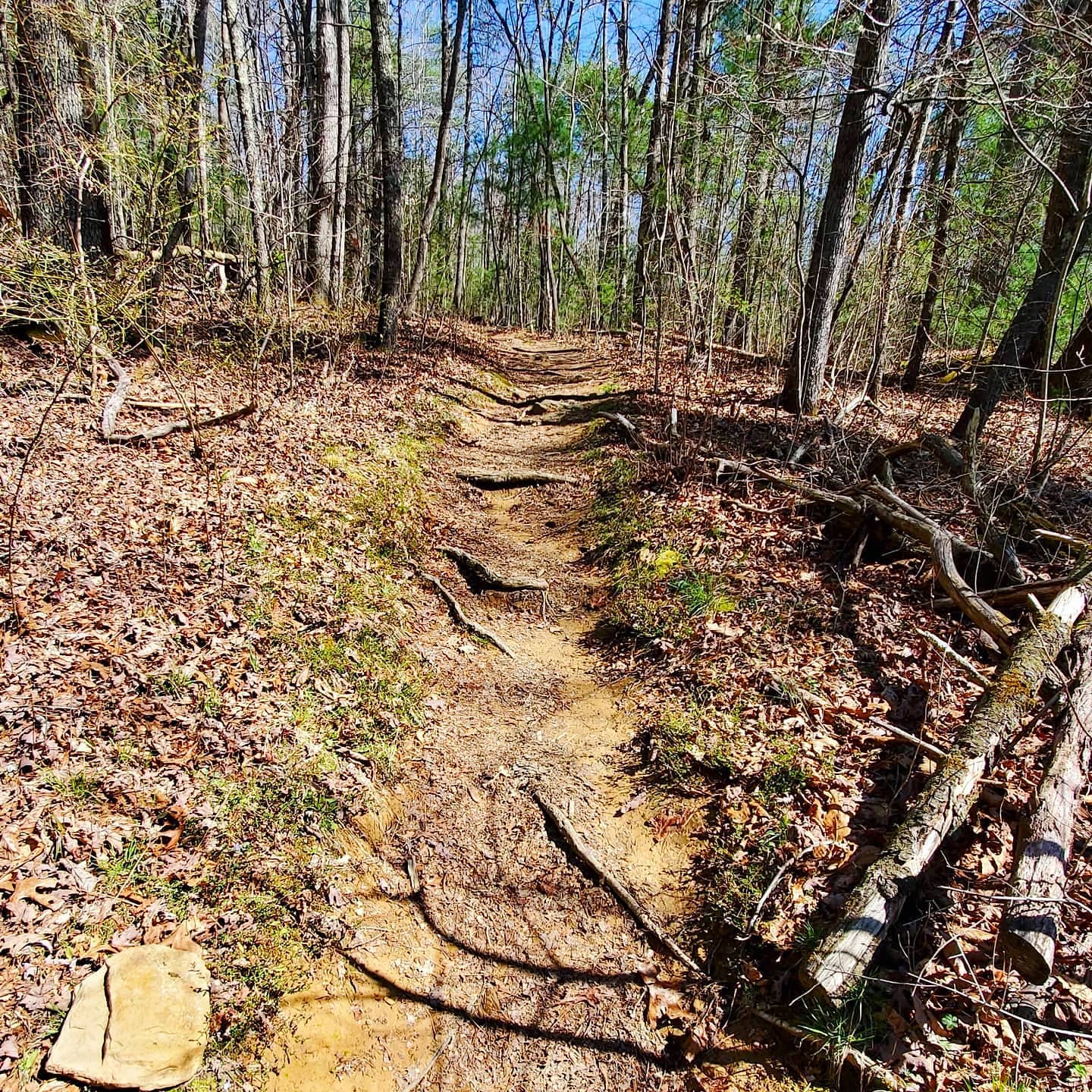 A169134230_221045176464930_5736278597907851465_n