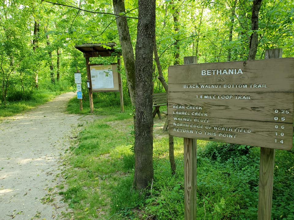 179774858_239095784659869_4350982183736844896_n