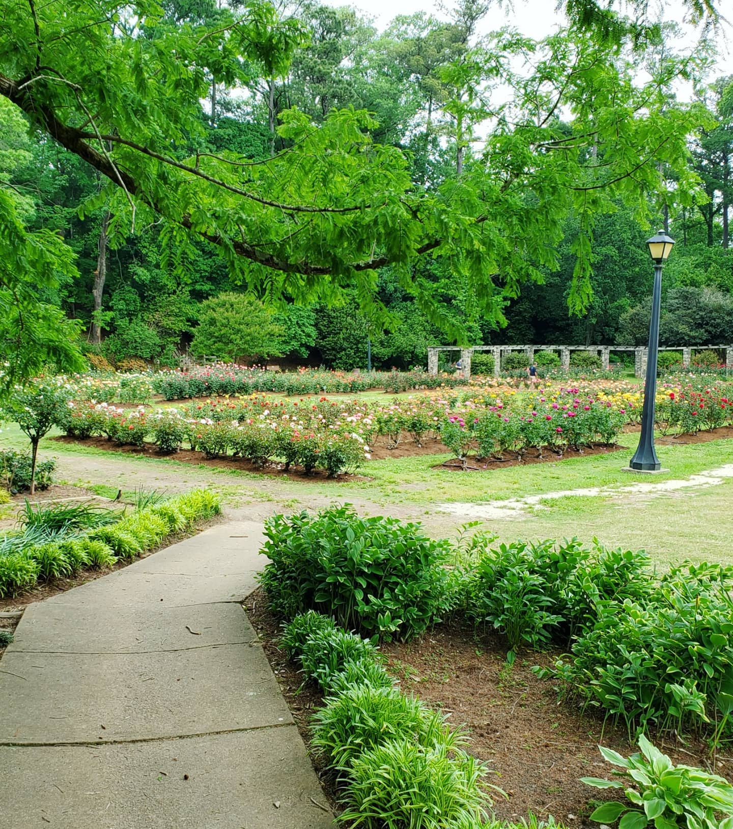 182747968_242376127665168_6593847006802724704_n