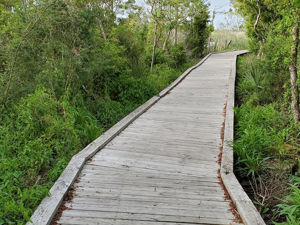 185559401_247809133788534_369601583927383373_n