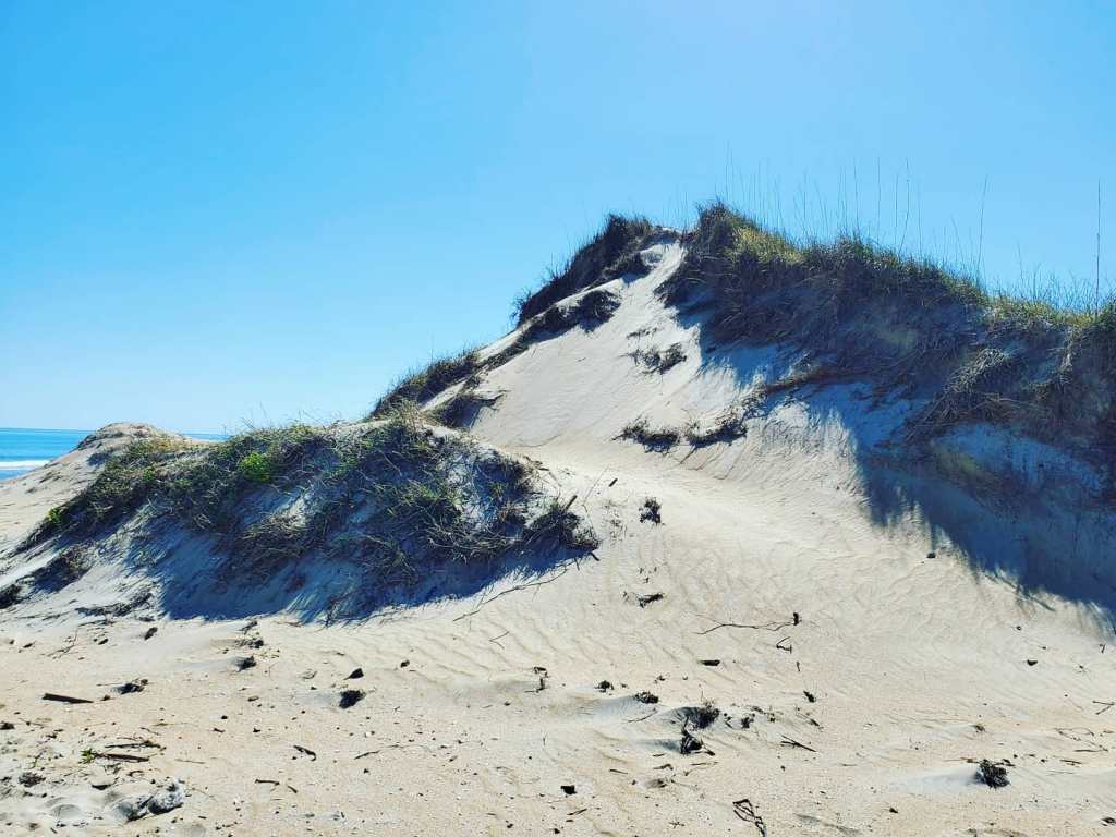 Cape Hatteras National Seashore & the Graveyard of the Atlantic in&nbsp;OBX