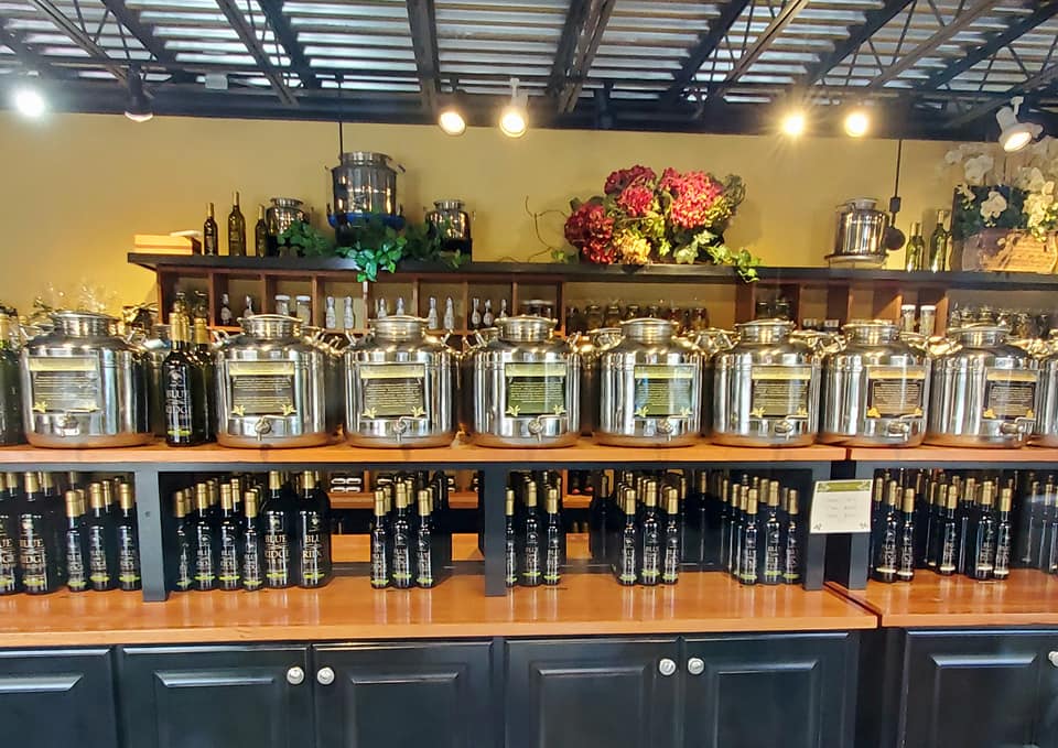 196668526_265459912023456_7692660878798776221_n