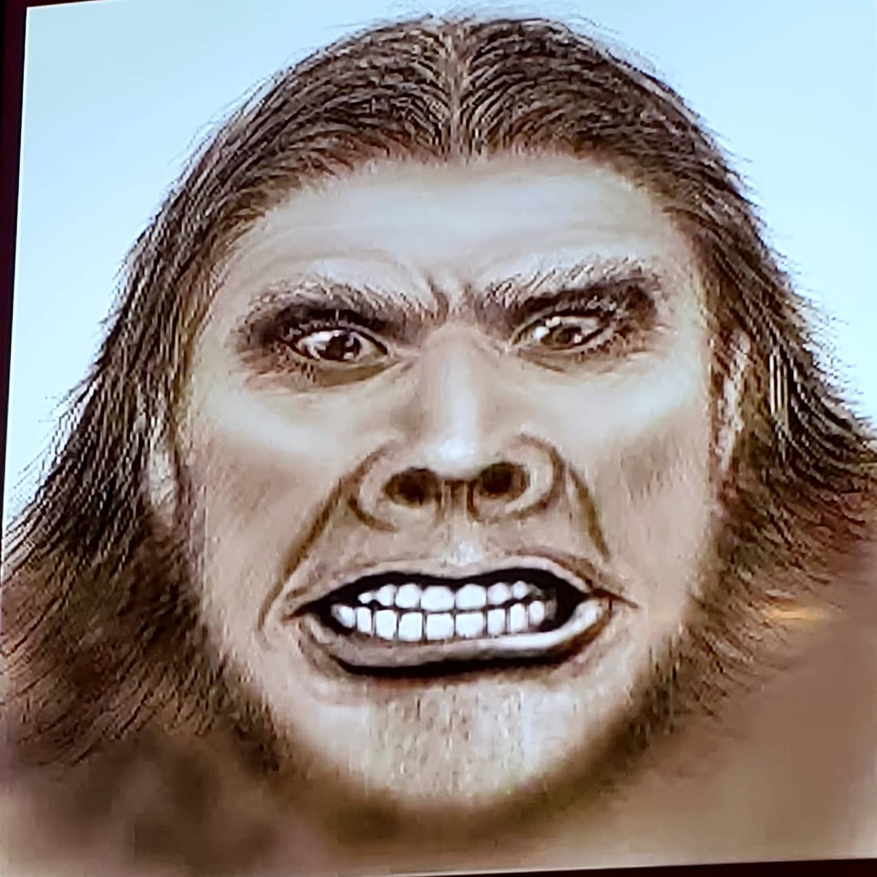 197882907_264083882161059_614681733217615724_n