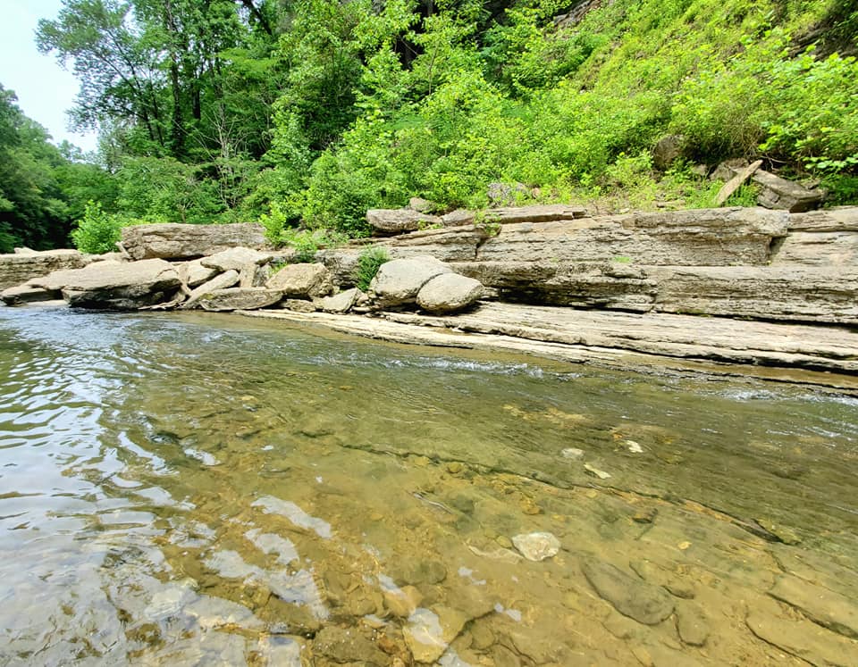 203667743_274087587827355_2382170604090355236_n