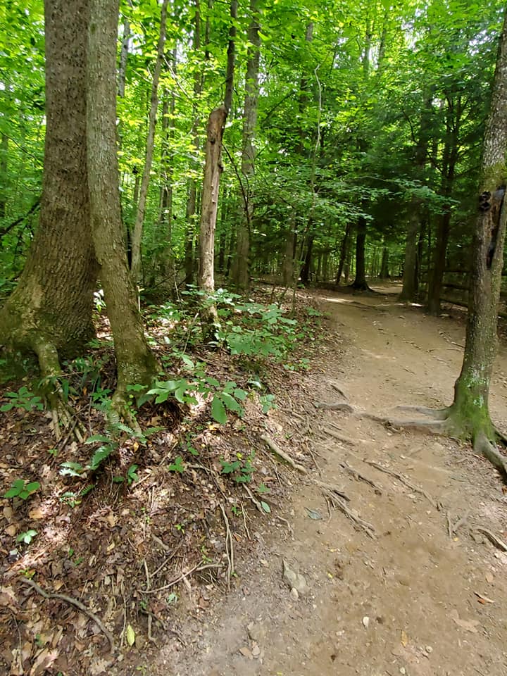 204975802_274088541160593_3421224206049162540_n