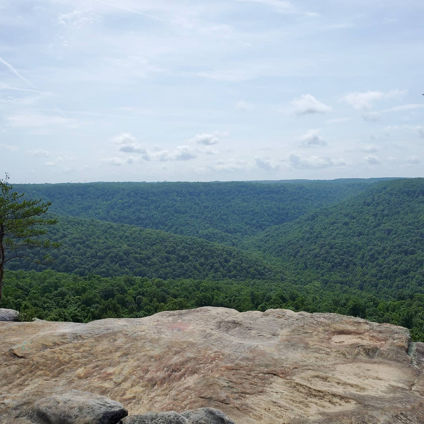 A202349421_273243774578403_8981686410886079174_n