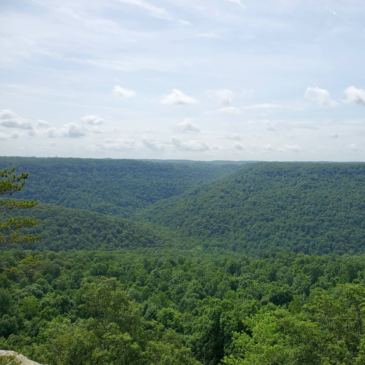 A202946358_273243777911736_7995032142553861355_n