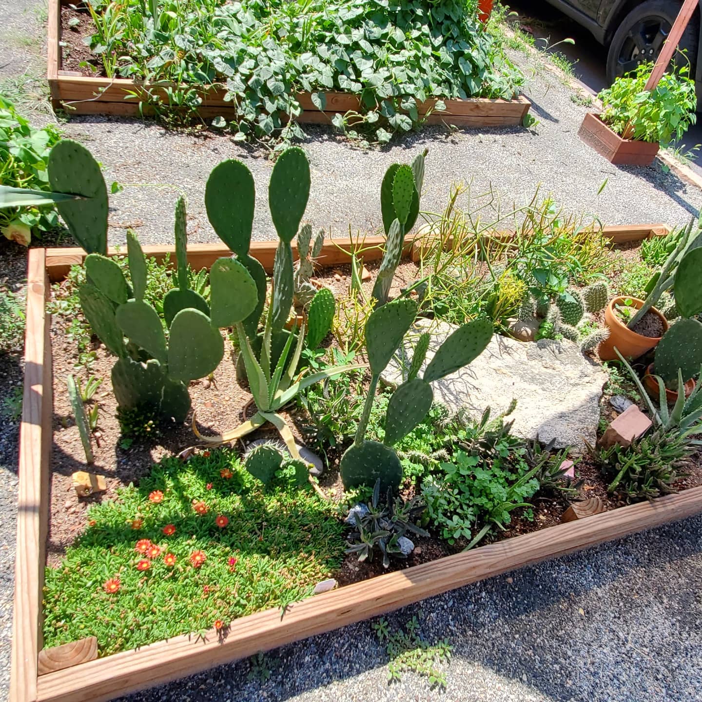 201855257_297111752191605_3505253969907769707_n