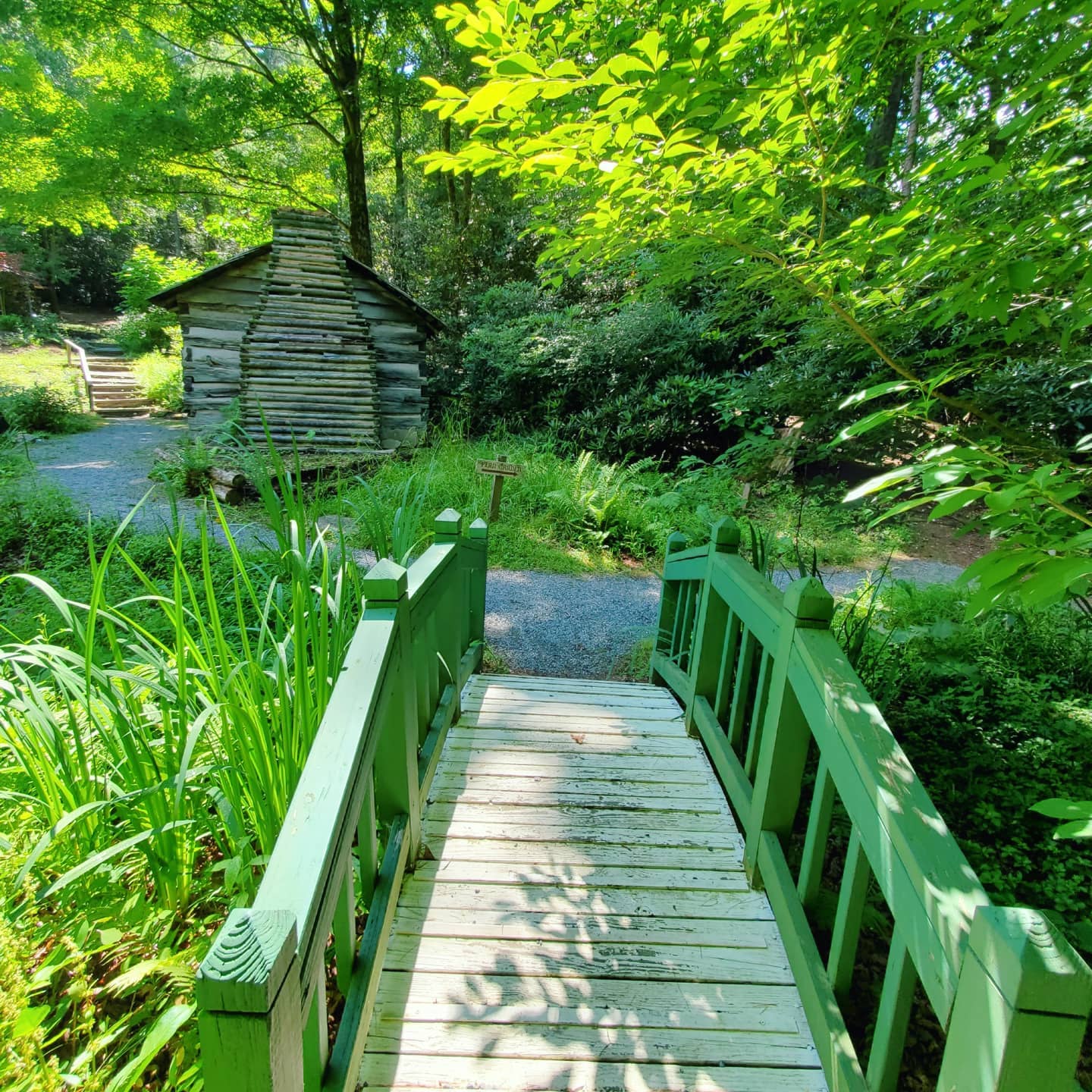 208148664_288785683024212_1258957556926358756_n