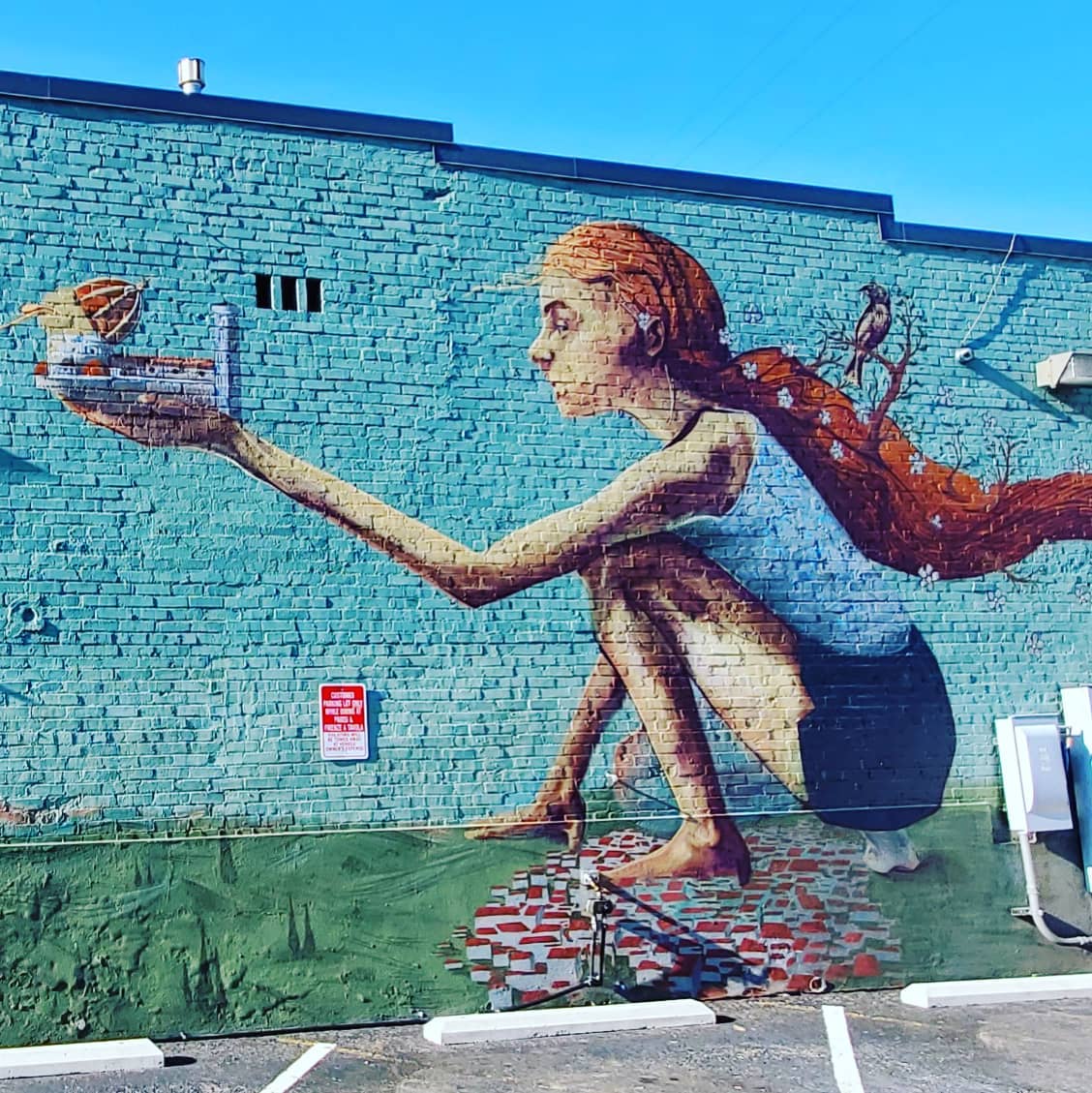 211515848_296484112254369_6010461251737474037_n