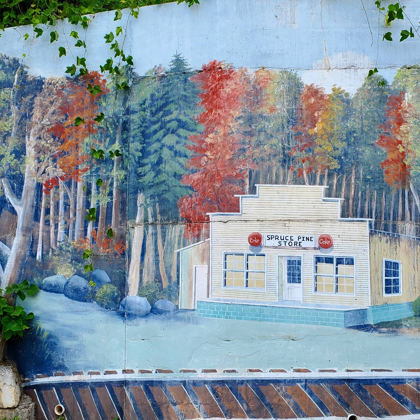 212069610_287997919769655_7303574162422885967_n