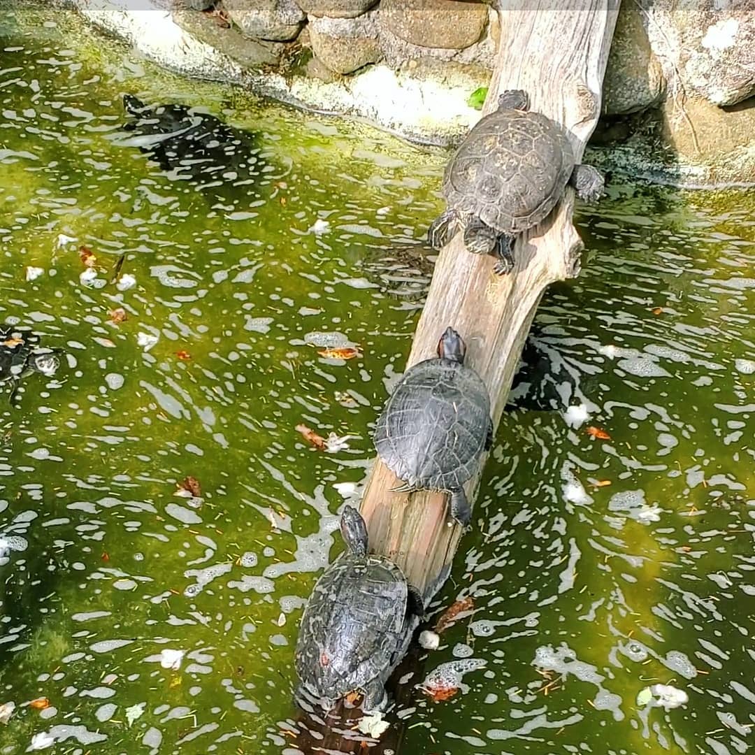 214169520_287707736465340_2699584997744630202_n