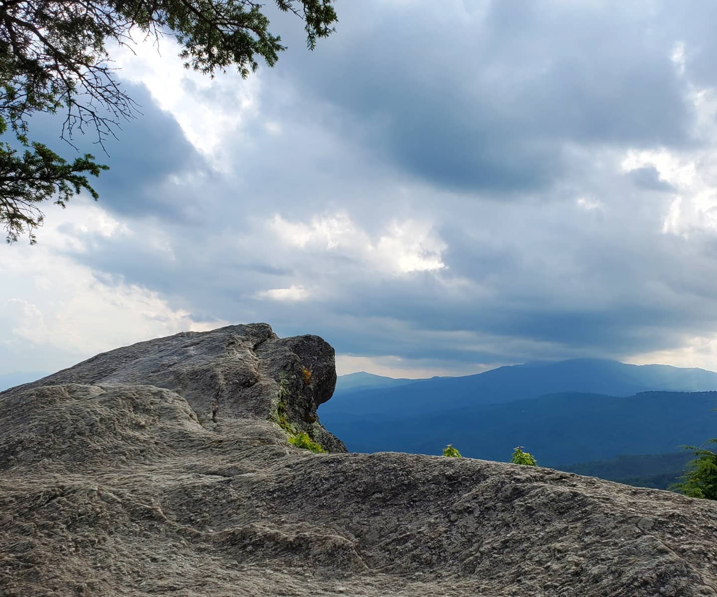 214197015_287696106466503_3516260136195152757_n