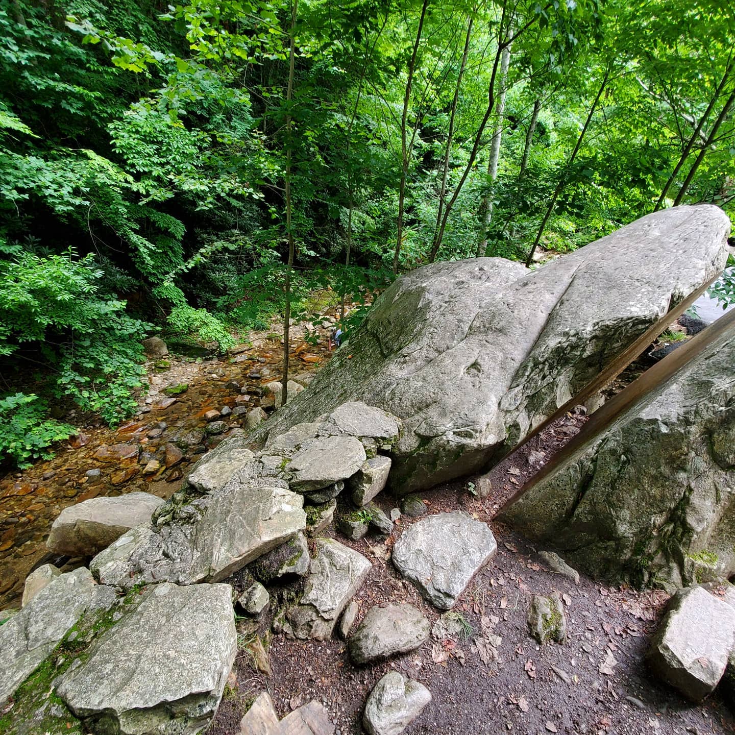 215113282_288387406397373_7336081783330942917_n