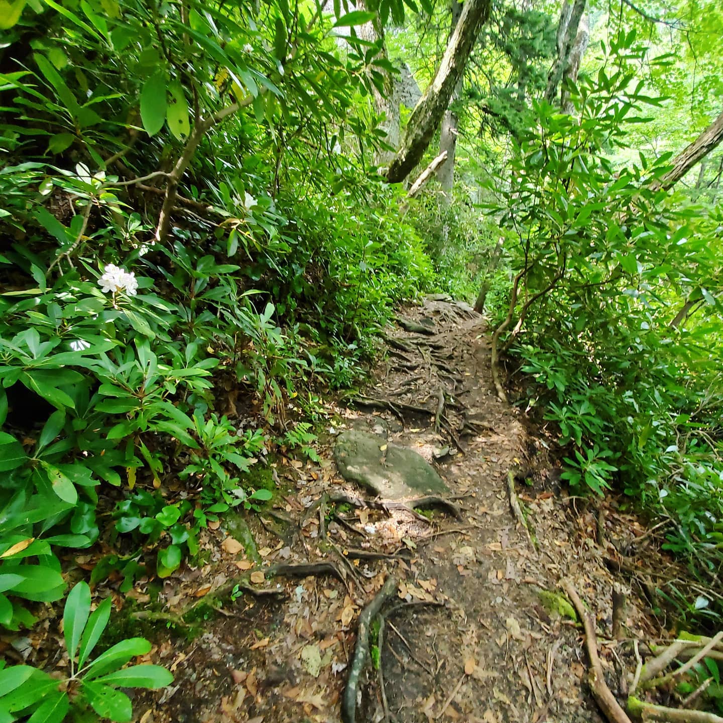 215427125_287709749798472_1001684211776290879_n