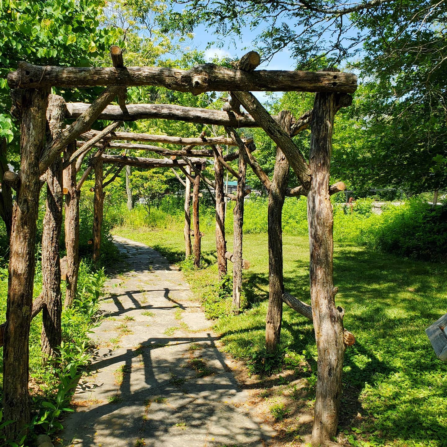 215578345_288785713024209_3151721046886160870_n