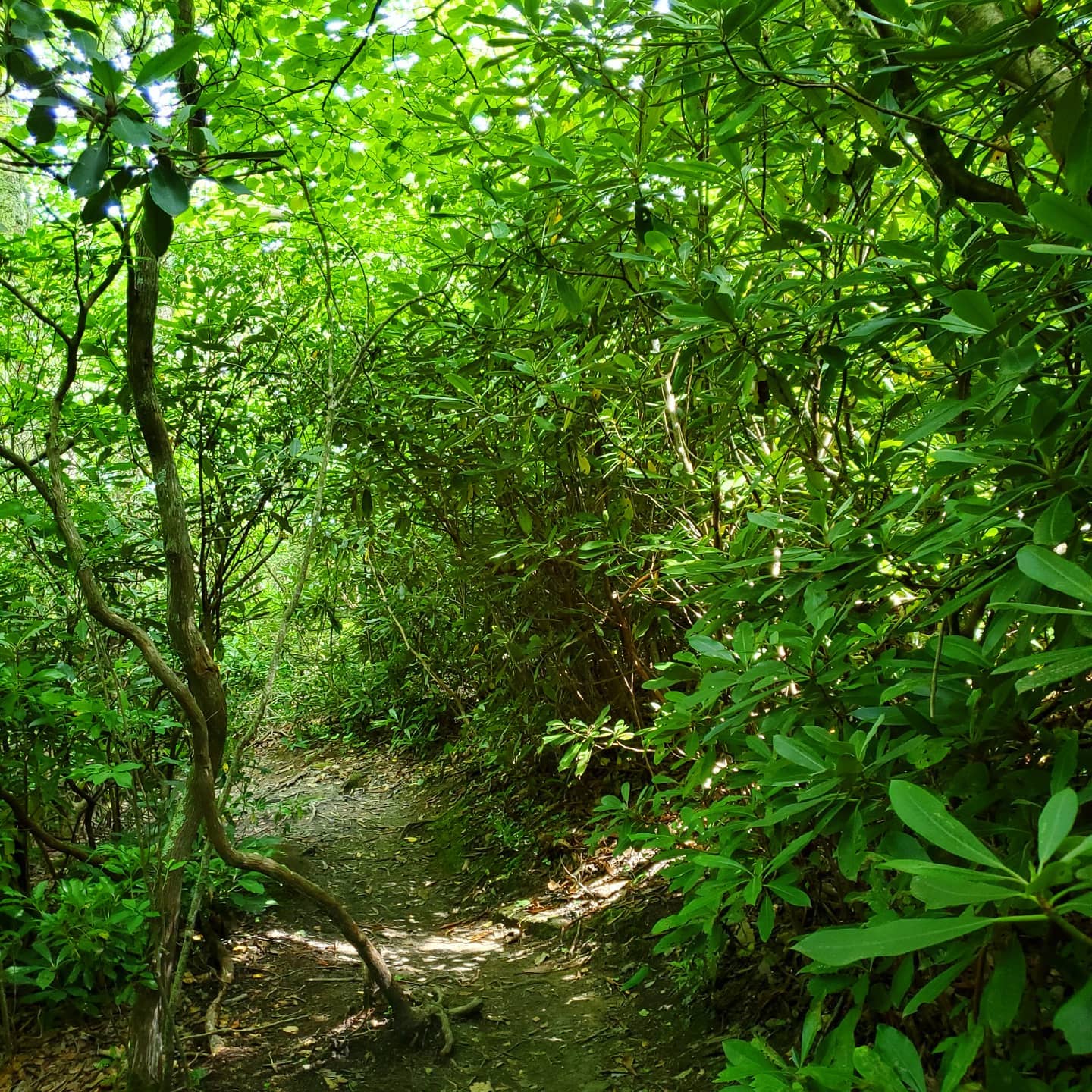 215803549_287709783131802_3744116473470513458_n