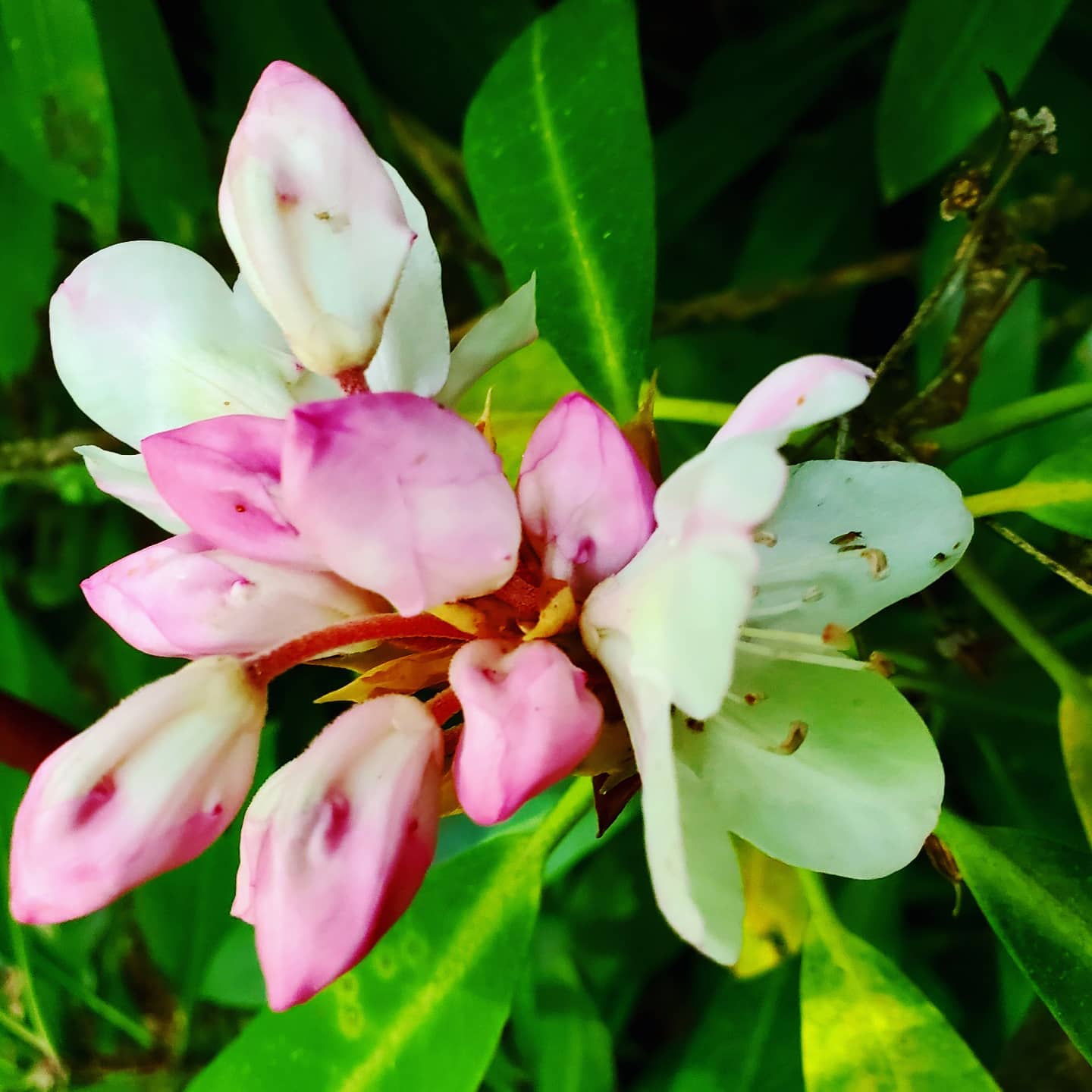 216128819_287709759798471_7724537201185520275_n