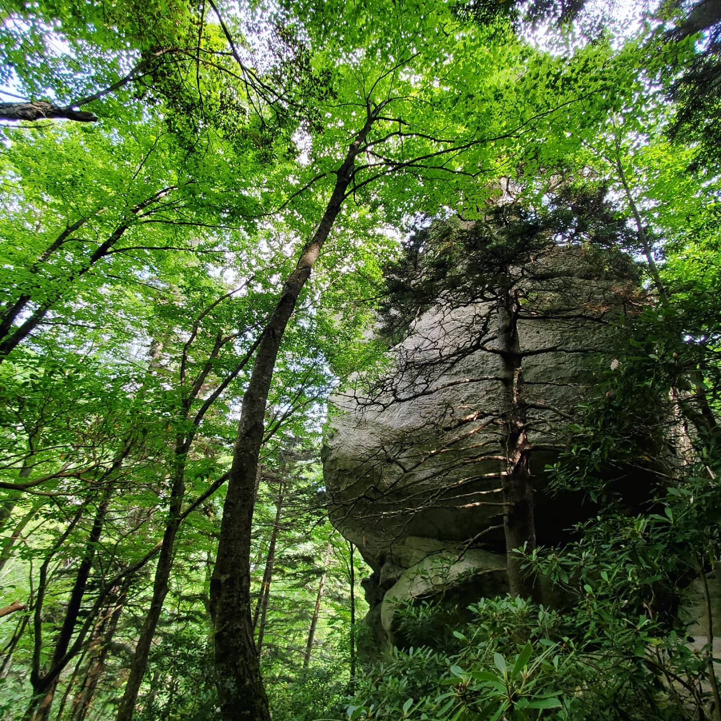 216292652_287709766465137_4989400219941347199_n