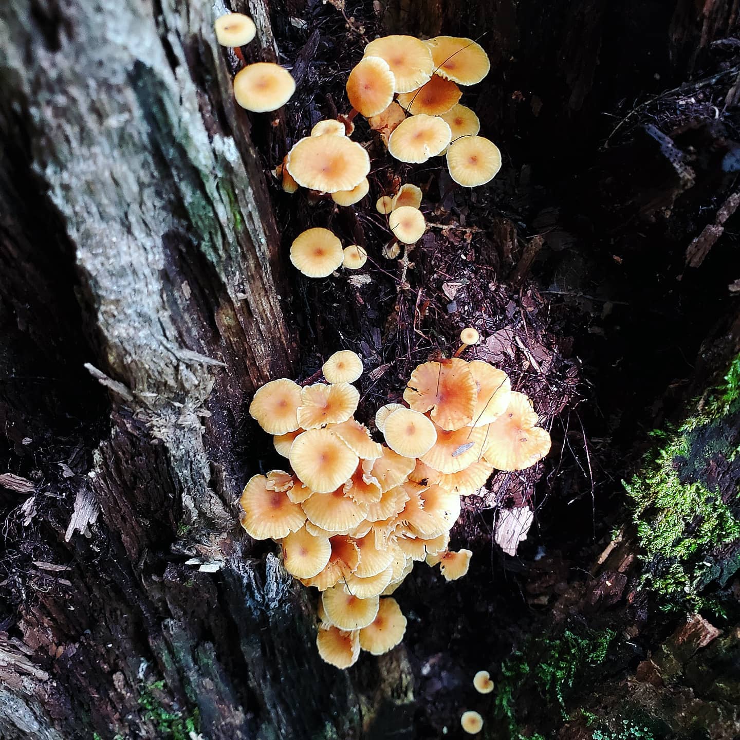 216721677_287709763131804_645553204891115404_n