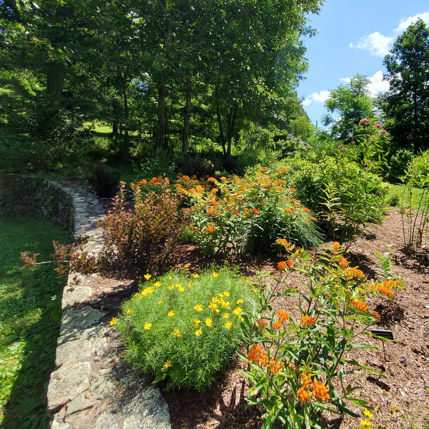 216794968_288785686357545_7926607212085142275_n