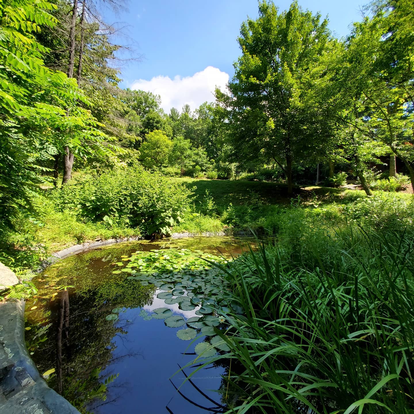 217270260_288785666357547_6205436340613472_n