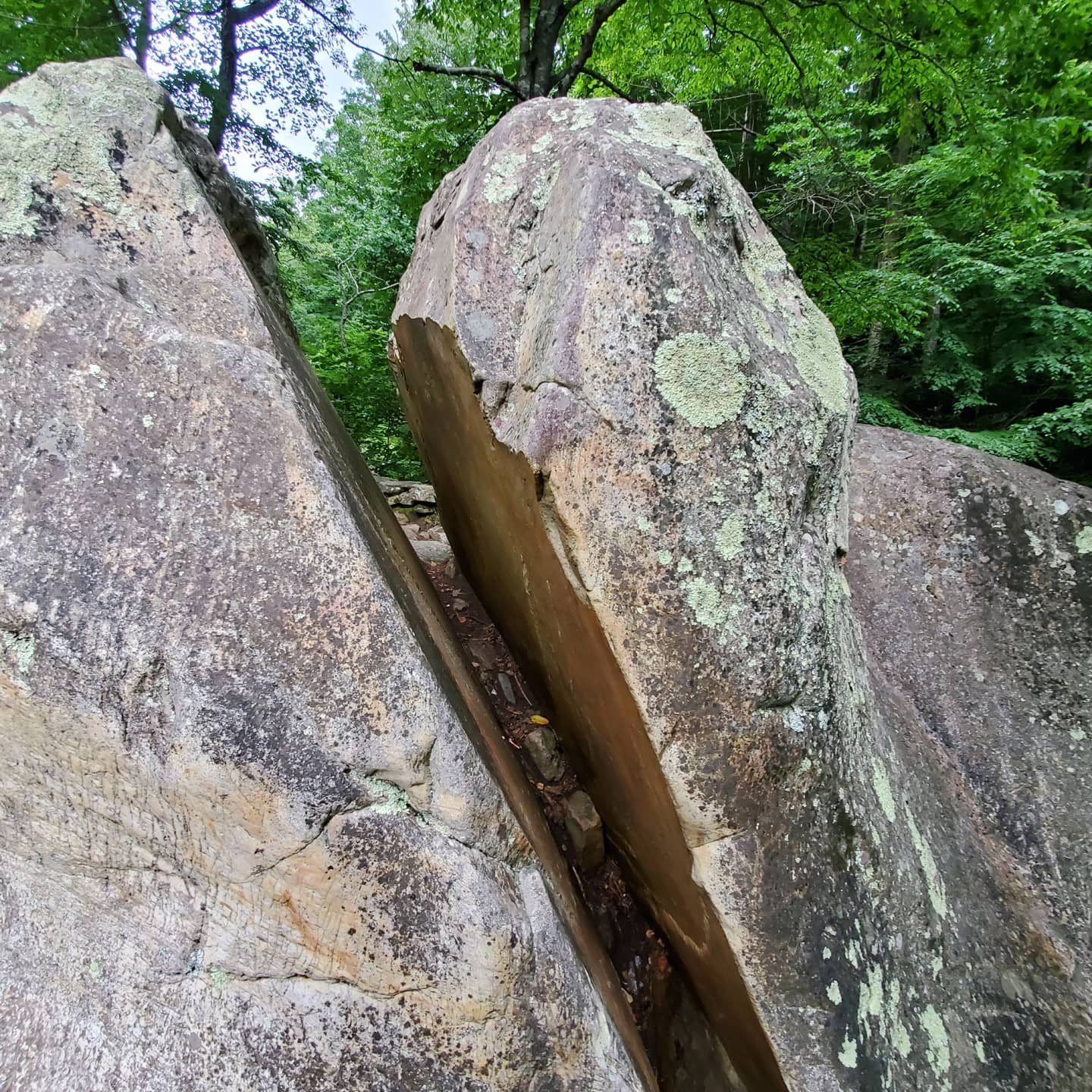 217338909_288387396397374_2406660561909478728_n