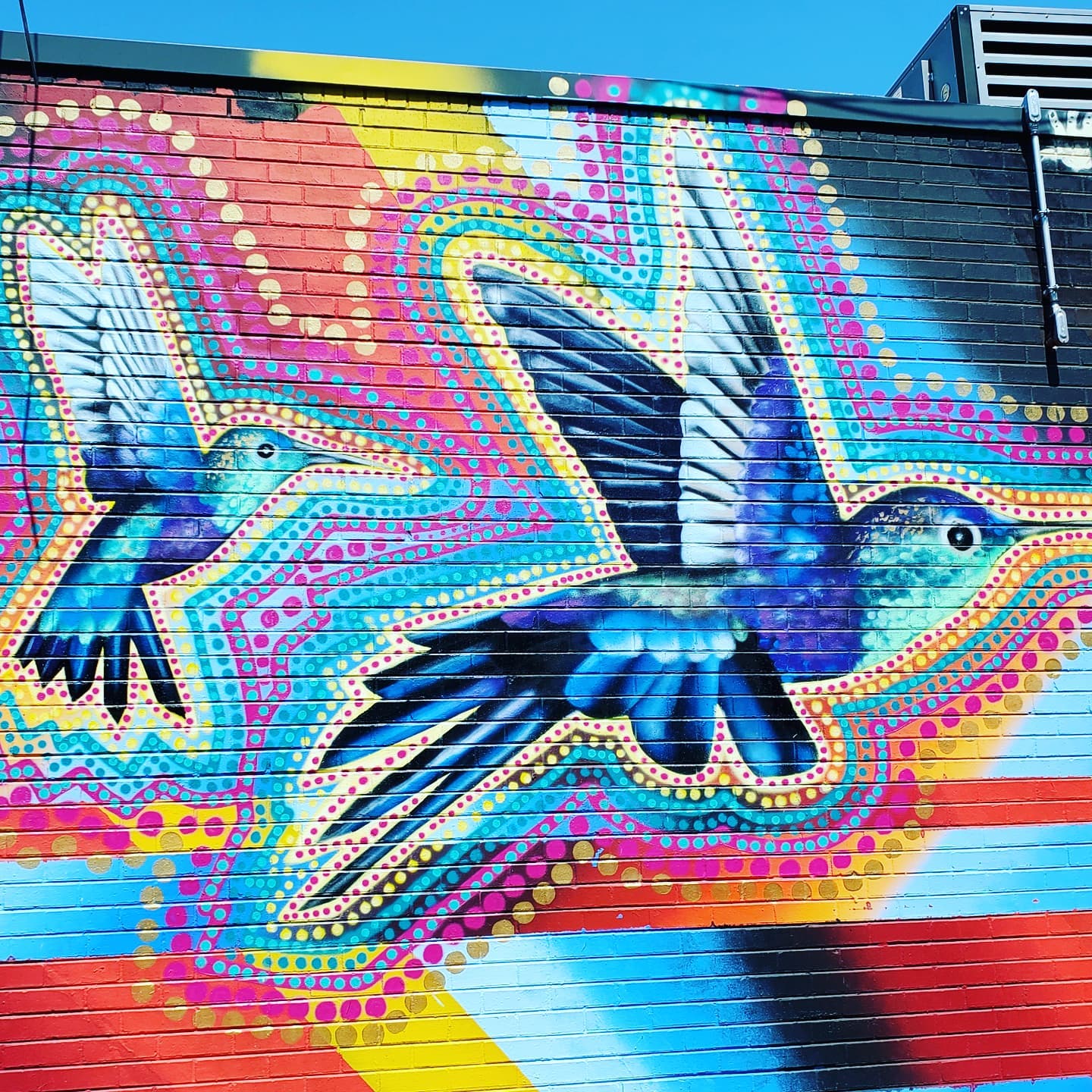 217399919_296744342228346_4237839276944660306_n