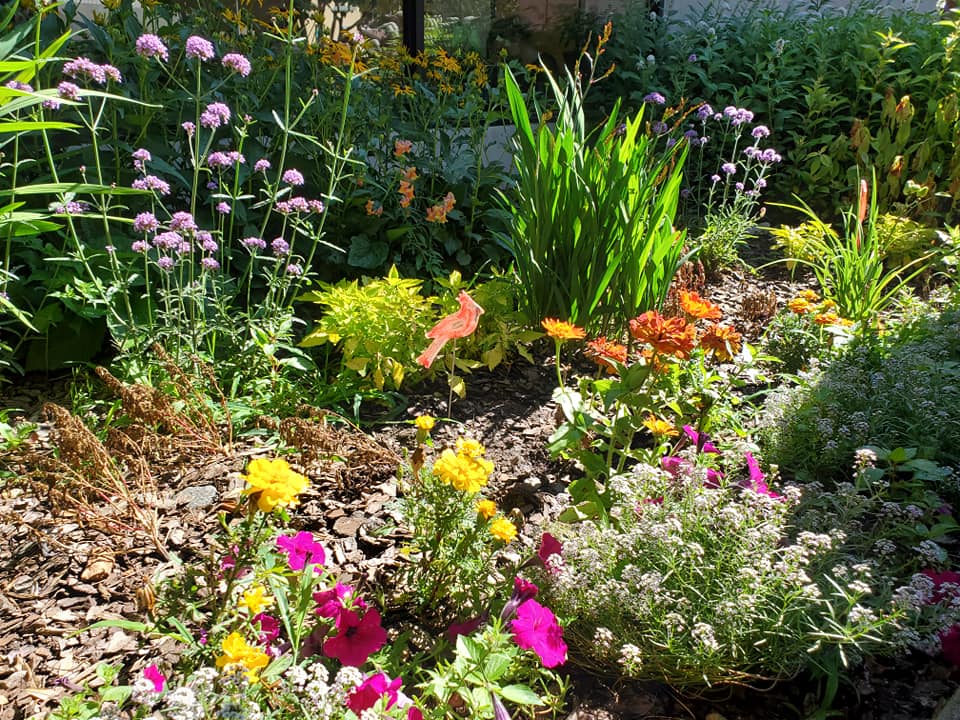 217734575_289096142993166_9202100935114447264_n