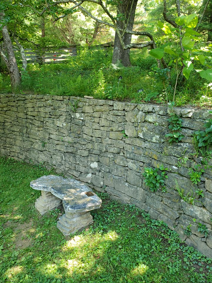 217767797_289095626326551_444640685113531275_n