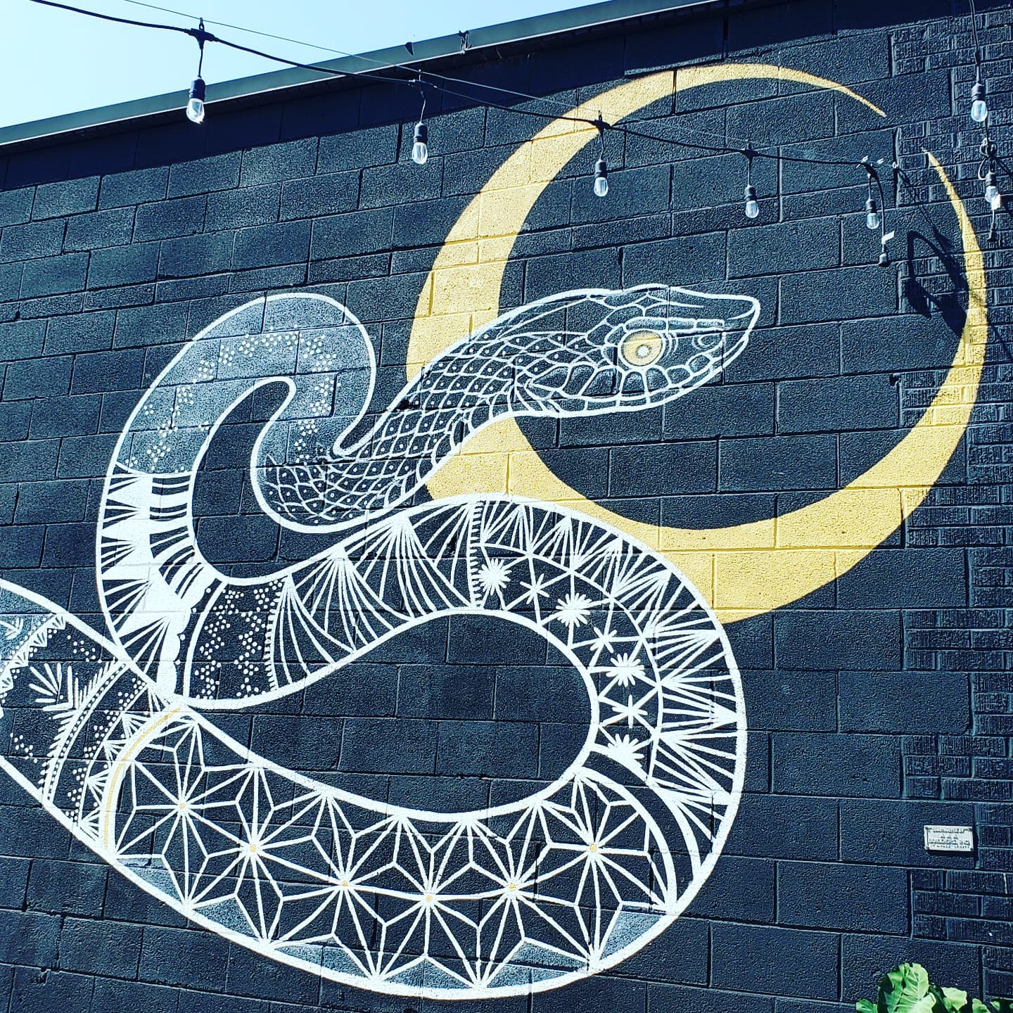 221227196_296744358895011_1865651357061580574_n