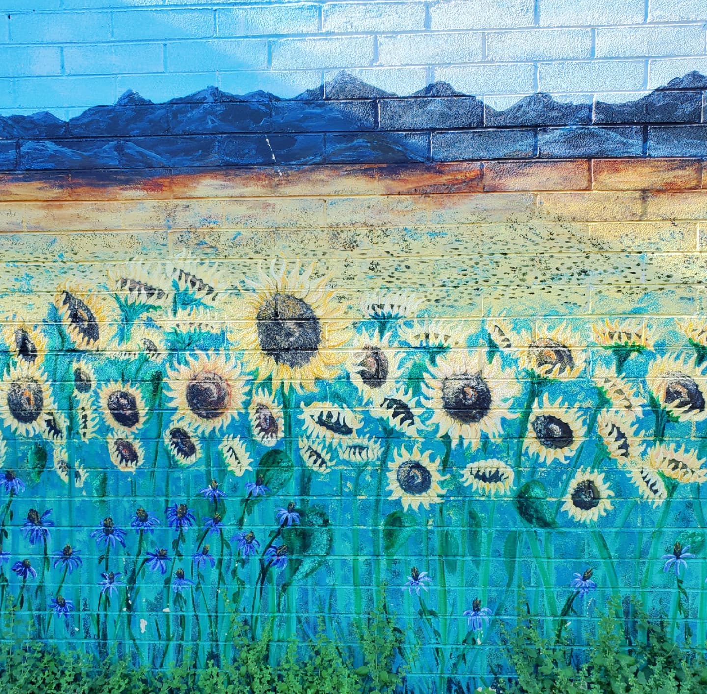 222134393_296480105588103_434788755548988741_n