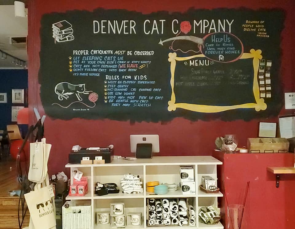 225335953_298724775363636_8011855450432678306_n