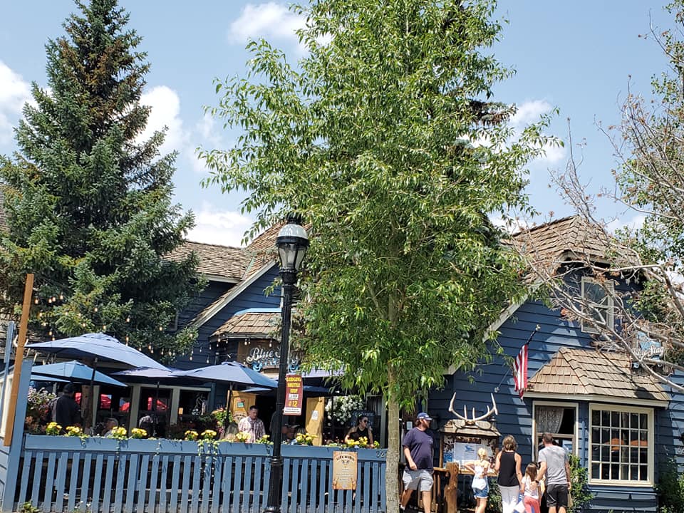 225714289_298738128695634_7881753598131984020_n